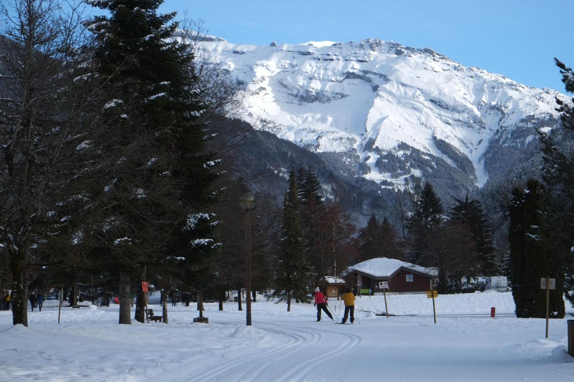 Particulier Loue 2 Appartements Communicants Dans Chalet A Samoens Jusqu A 16 Couchages 外观 照片